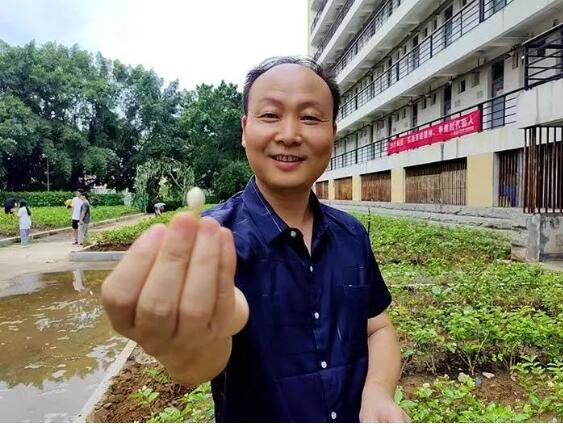 【福州市茉莉花文化的IP打造与推广——专访闽江学院服装学院党委副书记吴洪辉】图2