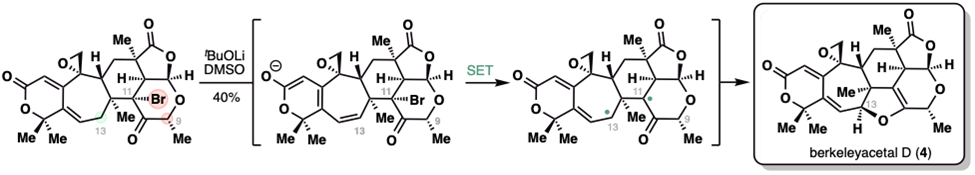 20250211-JACS-李超-4. 单电子转移（SET）构建二氢呋喃环的发现.jpg