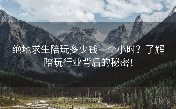 绝地求生陪玩多少钱一个小时？解陪玩行业背后秘密！  第3张