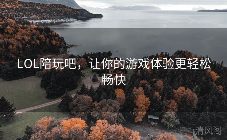 LOL陪玩吧，让你游戏体验更轻松畅快  第2张