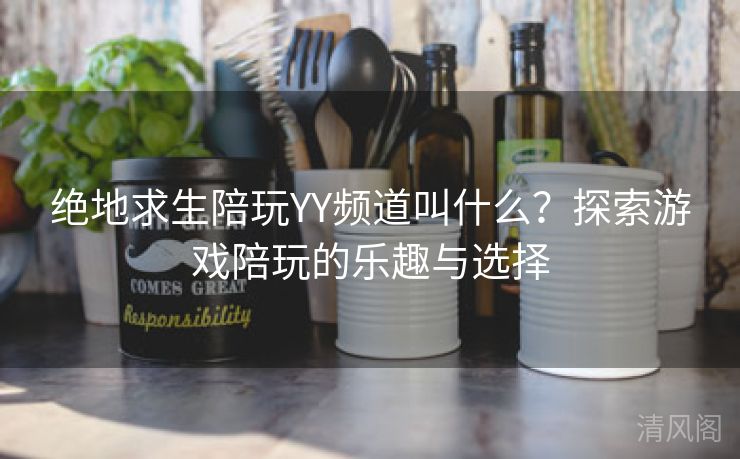 绝地求生陪玩YY频道叫什么？探索游戏陪玩乐趣与选择  第3张