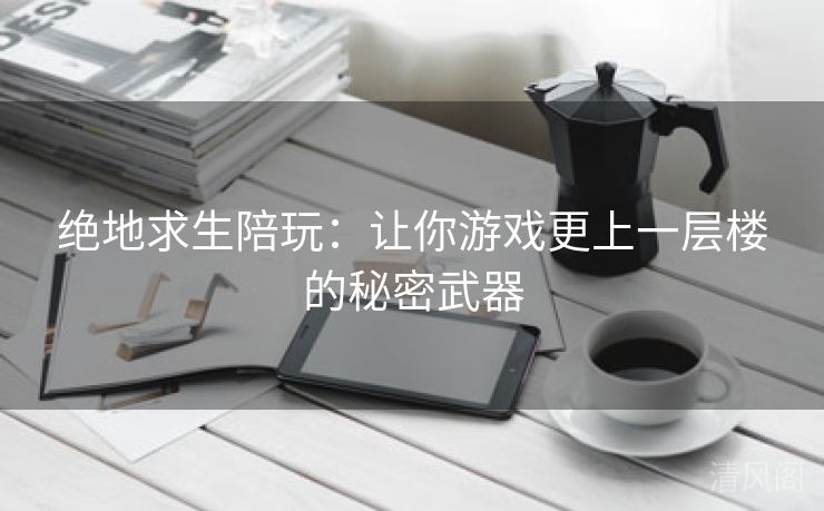 绝地求生陪玩：让你游戏更上一层楼秘密武器  第2张