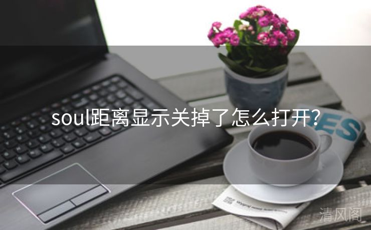 soul距离显示关掉怎么打开?  第3张