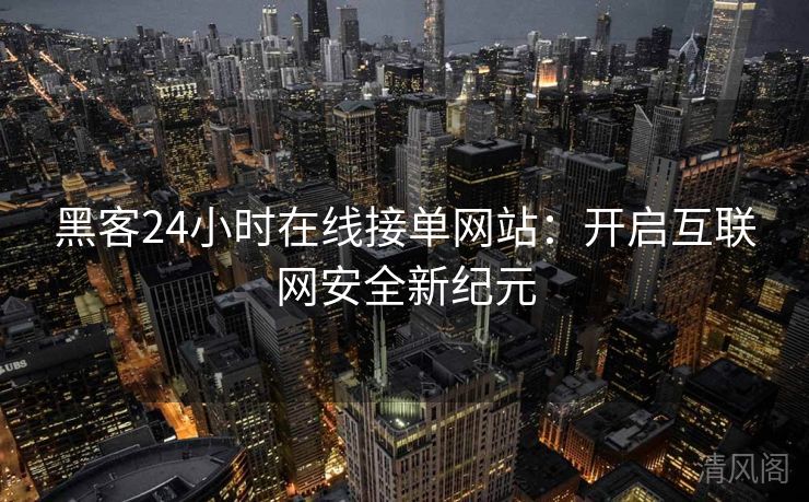 黑客24小时在线接单网站:开启互联网保险新纪元  第2张