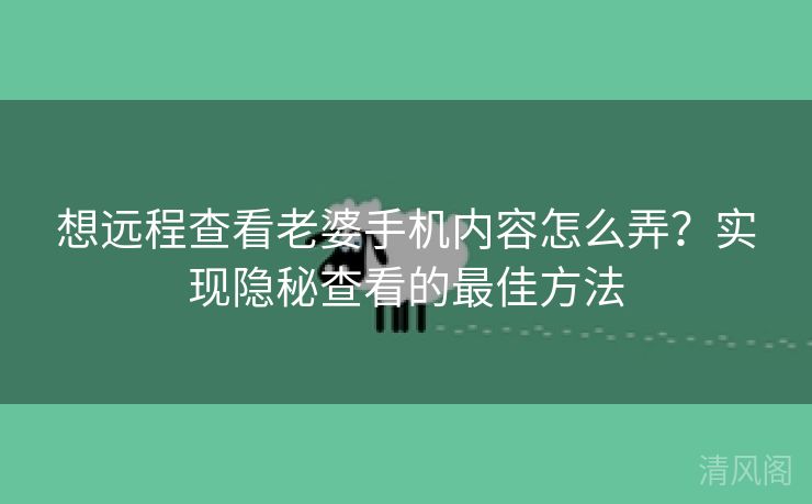 想远程查看老婆手机内容怎么弄？实行隐秘查看最优方法  第3张