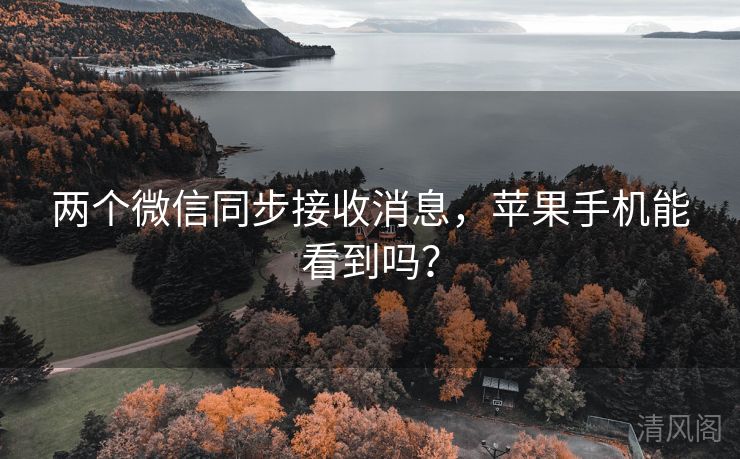 两个微信同步接收消息，苹果手机能看到吗？  第1张