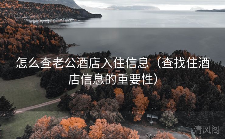 怎么查老公酒店入住信息〔查找住酒店信息重点性〕  第2张