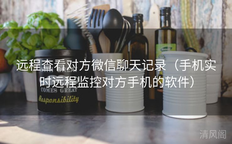 远程查看对方微信聊天记录〔手机实时远程监控对方手机应用〕  第2张