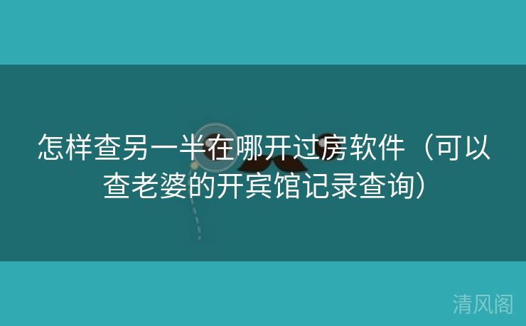 怎样查另一半在哪开过房应用〔可以查老婆开宾馆记录查询〕  第2张