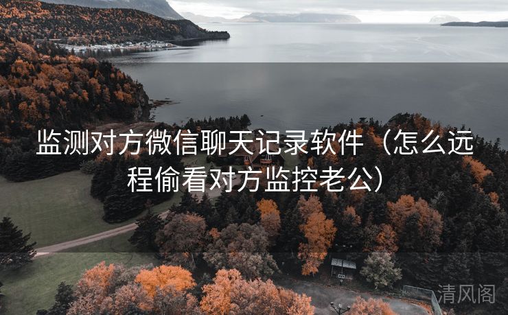 监测对方微信聊天记录应用〔怎么远程偷看对方监控老公〕  第1张