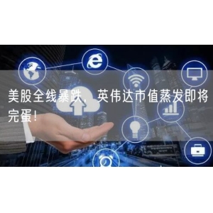 美股全线暴跌，英伟达市值蒸发即将完蛋！